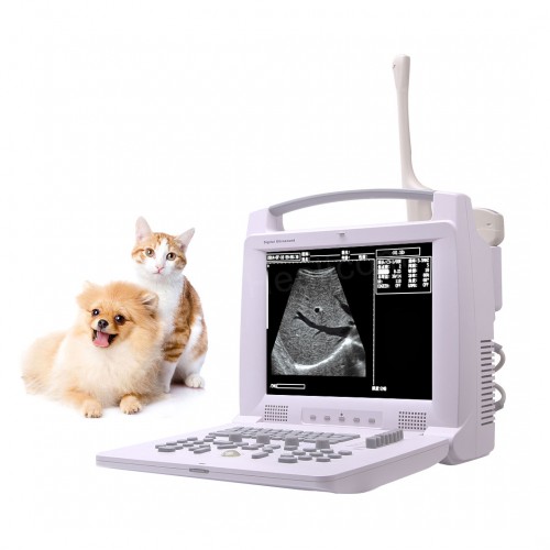 Veterinary B/W Ultrasound Scanner Vet Ultrasound Machine HV-3018 For ...